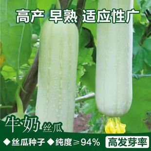 �ļ�ţ�̽z�ϷN�Ӱ���N������߮a�˷N�����＾�߲�����Ʒ�N���R