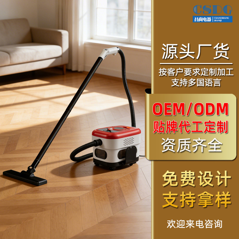 Customized Large Steam Cleaning Machine with Mop, High Temperature and High Pressure, Large Water Tank, Multi-Speed Adjustment, Kitchen Cleaning Machine, Cross-Border