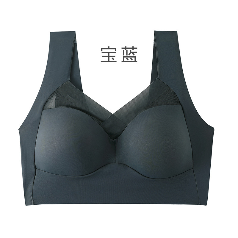 로얄 블루