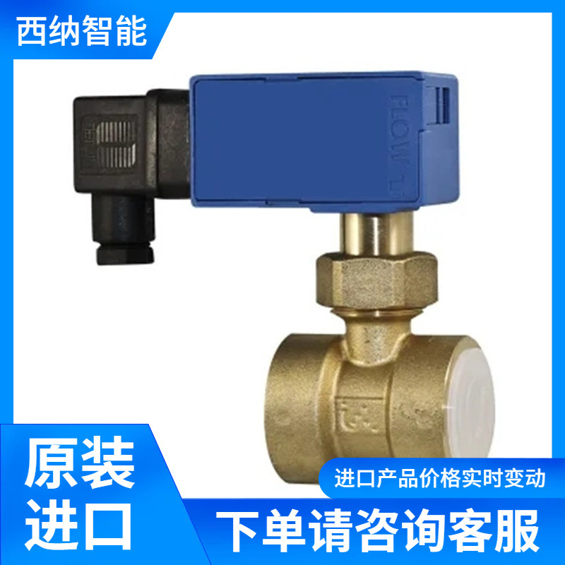 意大利RIELS流量开关RIV155 防护等级IP65