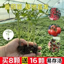 ������N�Ӵ����t���N�Ѳ��������߲���С��������ǧ���}Ů������