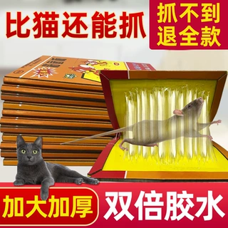 粘鼠板老鼠贴捉沾大老鼠饵剂鼠板驱老鼠贴灭鼠抓老鼠贴厂家
