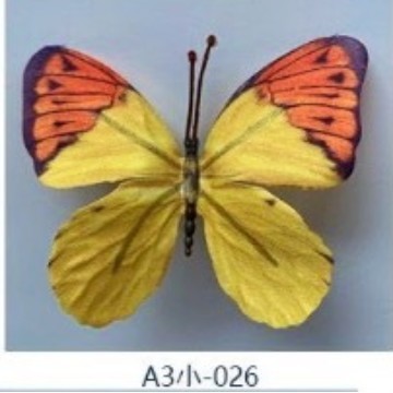 模擬 3D 蝶の花模擬造花 DIY 蝶のカラフルな人気の蝶の装飾クリエイティブジュエリー工場卸売|undefined