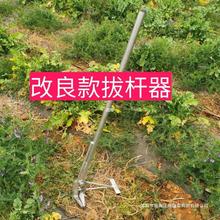 拔杆拔杆器各种农作物拔根减少细菌生长旺盛拔烟杆秸秆辣椒
