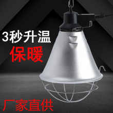 养殖保温灯罩小鸡育雏猪用保暖加热灯罩养殖场专用取暖保温灯灯罩