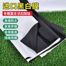 国标黑白膜加厚抗老化养殖大棚防雨防晒塑料膜食用菌绿白膜