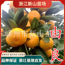 �㽭���������۽������������������������S���۽��猎���޽Ә���