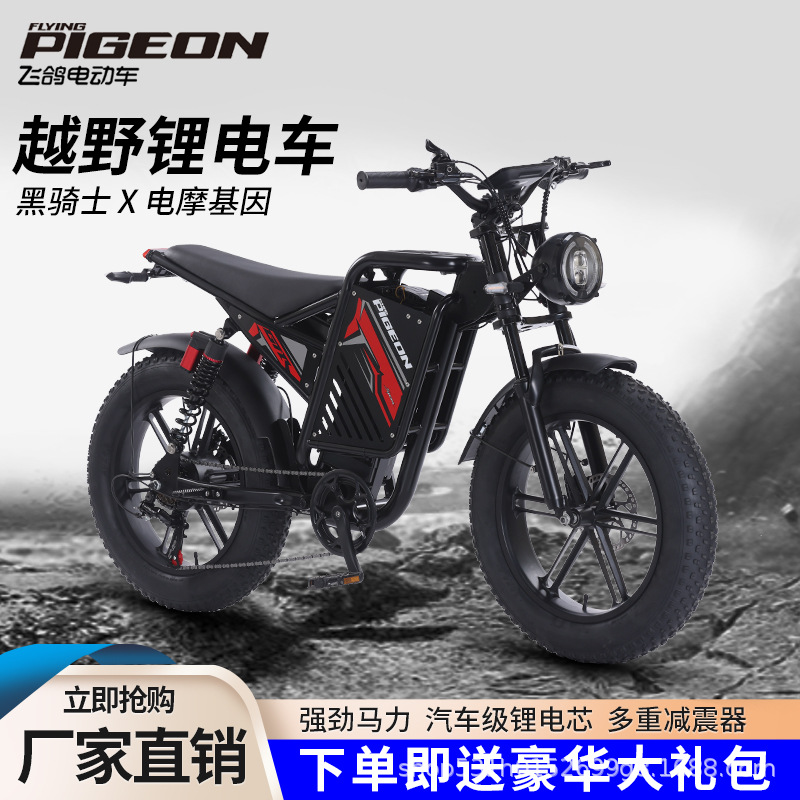 Bicicleta eléctrica de neumáticos anchos bicicletas eléctricas EBiK motor eléctrico de doble amortiguación bicicletas eléctricas de doble tracción