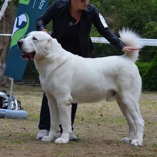 ���N�Ё�����Ȯ��Ȯ���w��������Ȯ����Ȯ���CȮ�o�lȮС�����l