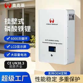 蓄电池;锂电池;汽车电瓶