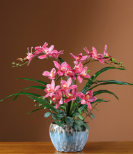 �͏d�ҕ���[�O���P��������ʽ�[���ٻ��ߙnޥ�m���滨�����m����