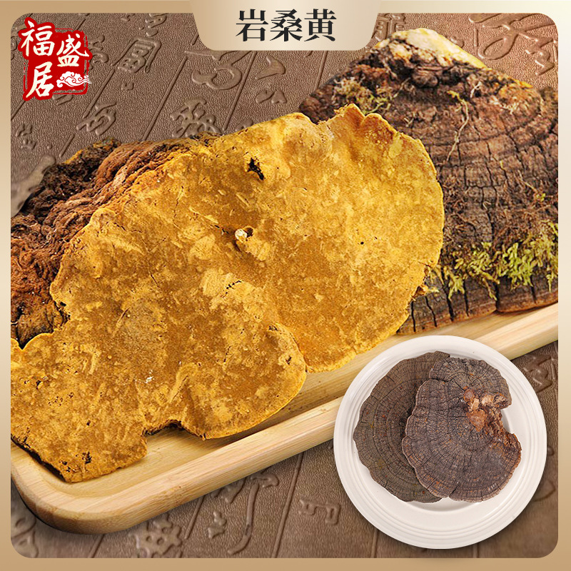 产地货源 长白山岩桑黄 东北特产批发桑黄500克/袋一件代发