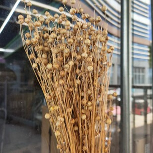 �ɻ���˼��  ���F��ԭ����