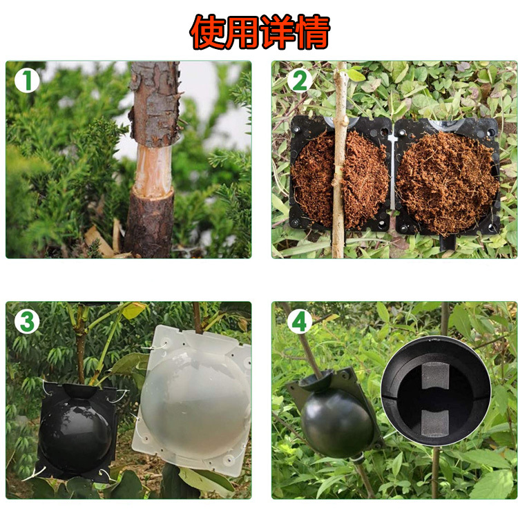 扦插嫁接生根器植物高压盒园林树木繁殖盒繁殖球高枝压条盒-阿里巴巴