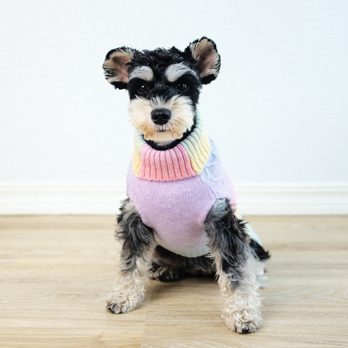 Nueva ropa transfronteriza para mascotas de otoño e invierno, suéter simple de cuello alto con gradiente de arco iris para perros, suéter para mascotas para gatos y perros