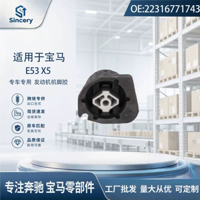 Suitable for BMW X5 Suspension and Shock Absorber Systems