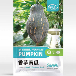 ����С�ϹϷN�������߮a����ؐؐ��������۱��߲˷N���ݹ��ȫ