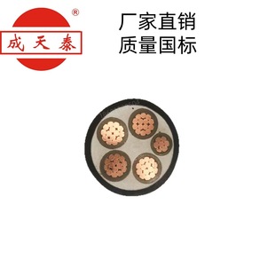 ̩늾|ZC-YJV22-4*70+1*35mm2zb|ȼ~о|