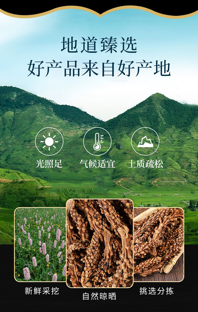 Hu Bian Cao (Achyranthes aspera) — Dried Food Herb, 500g Bulk Herbal Botanical overview