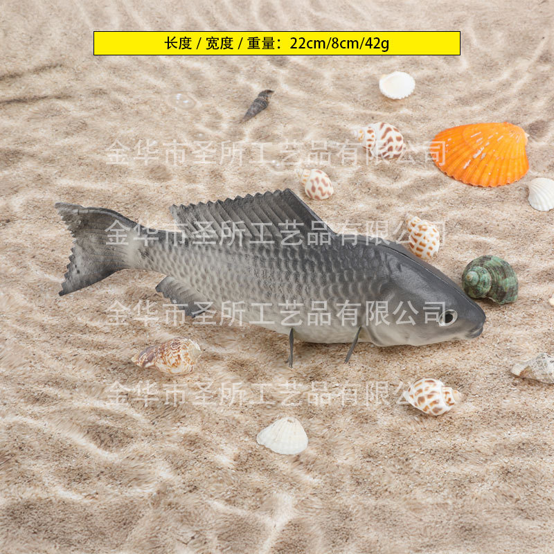 회색 잉어 트럼펫