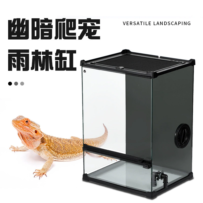 Тропический тропический лес лазание домашних животных Экологический цилиндр микро-ландшафтный мохообразный растительный цилиндр черный стеклянный водный и наземный цилиндр настольный ландшафтный цилиндр