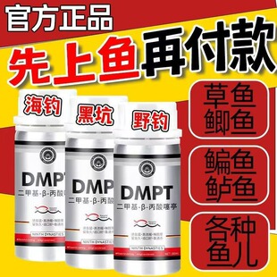 DMPT����~Сș�ڿ�Ұ��a�~���~���~���I�_���~�D�����ӄ��T�~��