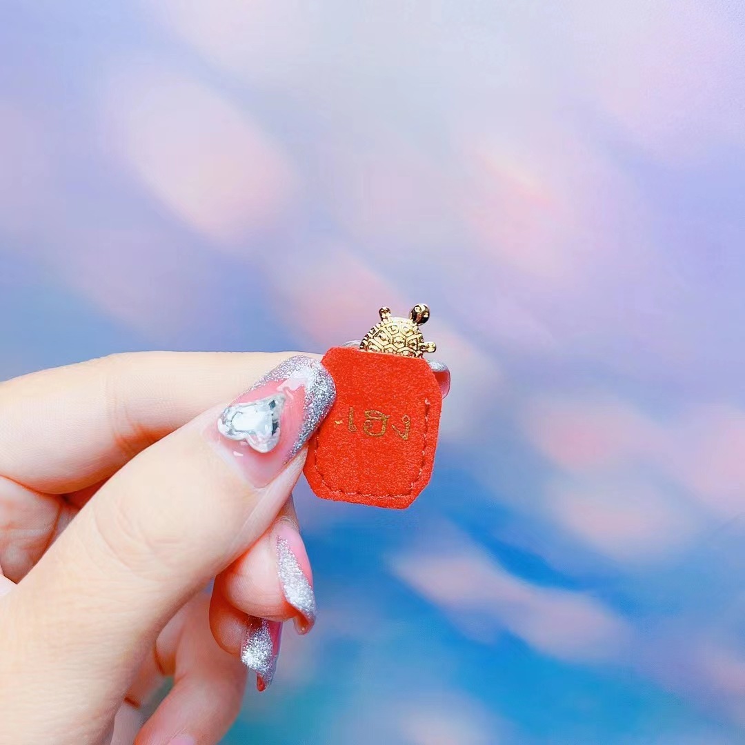 Thai Buddha jewelry, Achan Song Jai Tai coin tortoise, Buddhist scripture decorative items