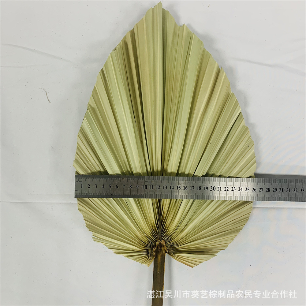 Los fabricantes de hojas de la flor seca de la hoja de la palma de la planta de hoja de la flor seca de la hoja de La Palma