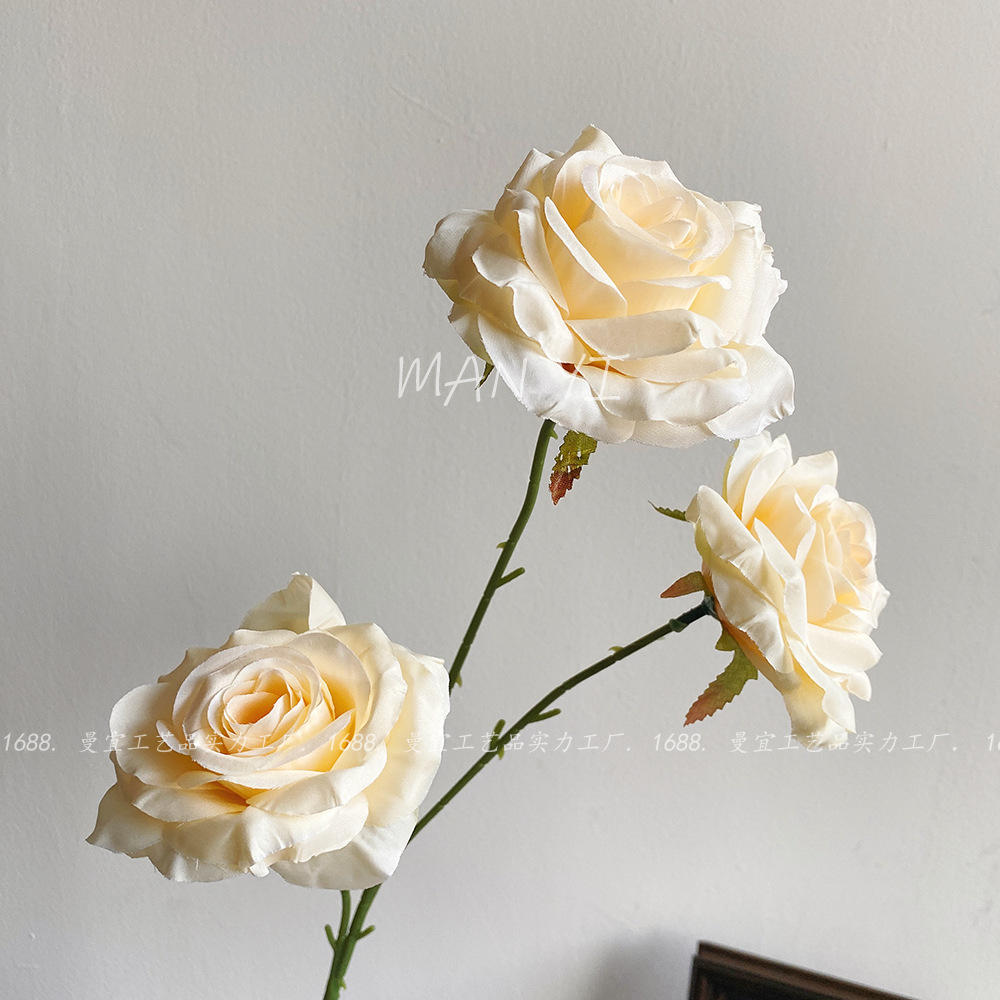 Champagne diamante rosa