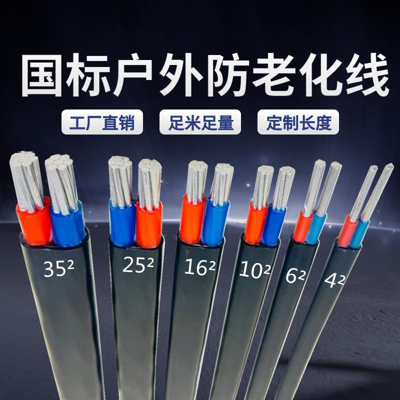 National Standard 2-Core 3-Core Cable Aluminum Core Household Outdoor Wire 2.5 4 6 10 16 25 Square Aluminum Wire Sheath National Standard 2-Core 3-Core Cable Aluminum Core Household Outdoor Wire 2.5 4 6 10 16 25 Square Aluminum Wire Sheath
