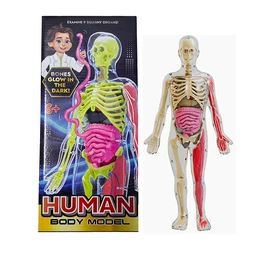 科教玩具;戏水玩具;泡泡玩具