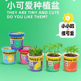 小可爱种植盆栽儿童学生小盆栽植物观察植树节礼品小花农厂家批发