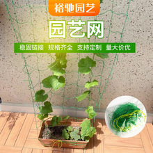 �@ˇ�W �Nֲ���o�B�F�W�Ϲ����L��G�}�����z�����پW �S��ֱ�N