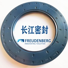 CFW2 BAU4SLX2  50-72-8��FREUDENBERG DIN3760 AS�M�ڹǼ��ͷ�