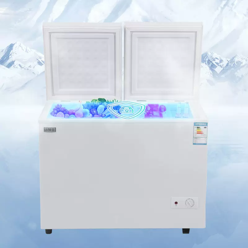 加工定制大容量冷冻冰柜 多档调节冷柜 双温双仓保鲜冷冻节能冰柜