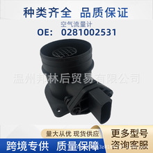 038906461B汽车空气流量计适用大众奥迪0281002531 0986284009