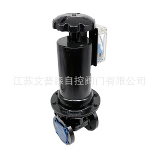 EG6B41J-10Ӣ�˳��]ʽ����r�z��Ĥ�y �T��r�z���m��Ĥ�y������