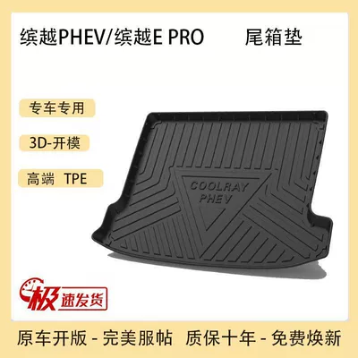 Trunk Mat: Bin Yue Plantronics Rui Xing Rui - the-19-22-binyue-phev-has-a-mesh-pocket-on-the-right-side-tpe-upgraded-model