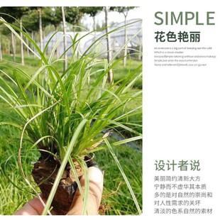 ���ݲݻ� ����̦�� ��G̦�� ���G�^�p�� �@�־G�� �޸��r���