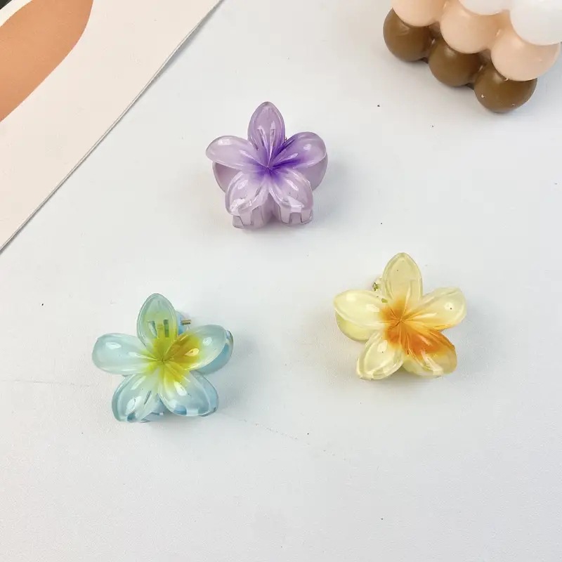 Women's Sweet Simple Style Flower Plastic Hair Clip display picture 9