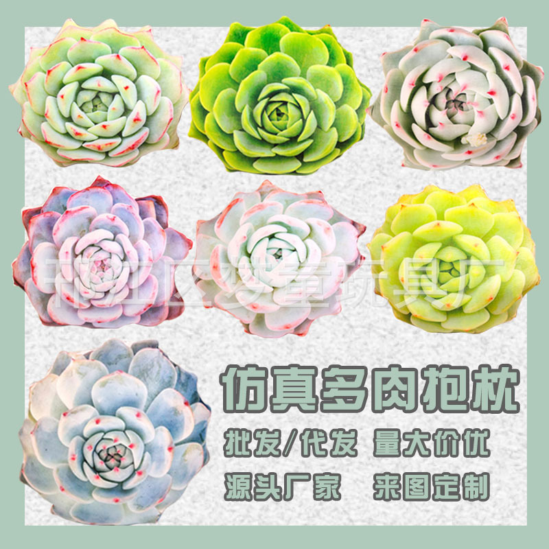 跨境創意仿真居家綠色植物多肉抱枕毛絨印花玩具公仔可加logo批發