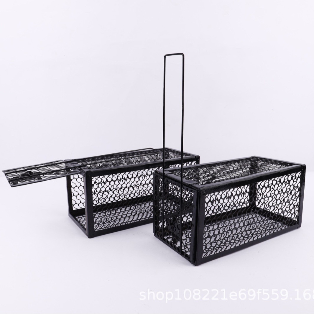 2024-03-09 22:16:34.jpg