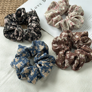 2026���¿��黨��ˇ�ߏ����c�lȦŮʿ���l�����Rβ�lȦ�����^�K