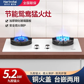 抽油烟机;厨房电器配件;燃气灶具