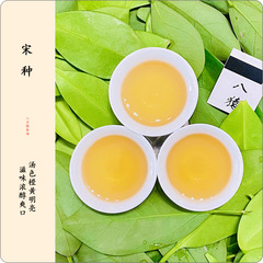 宋種（一斤裝500g）烏龍茶散裝禮盒茶葉批發奶茶單叢廠家