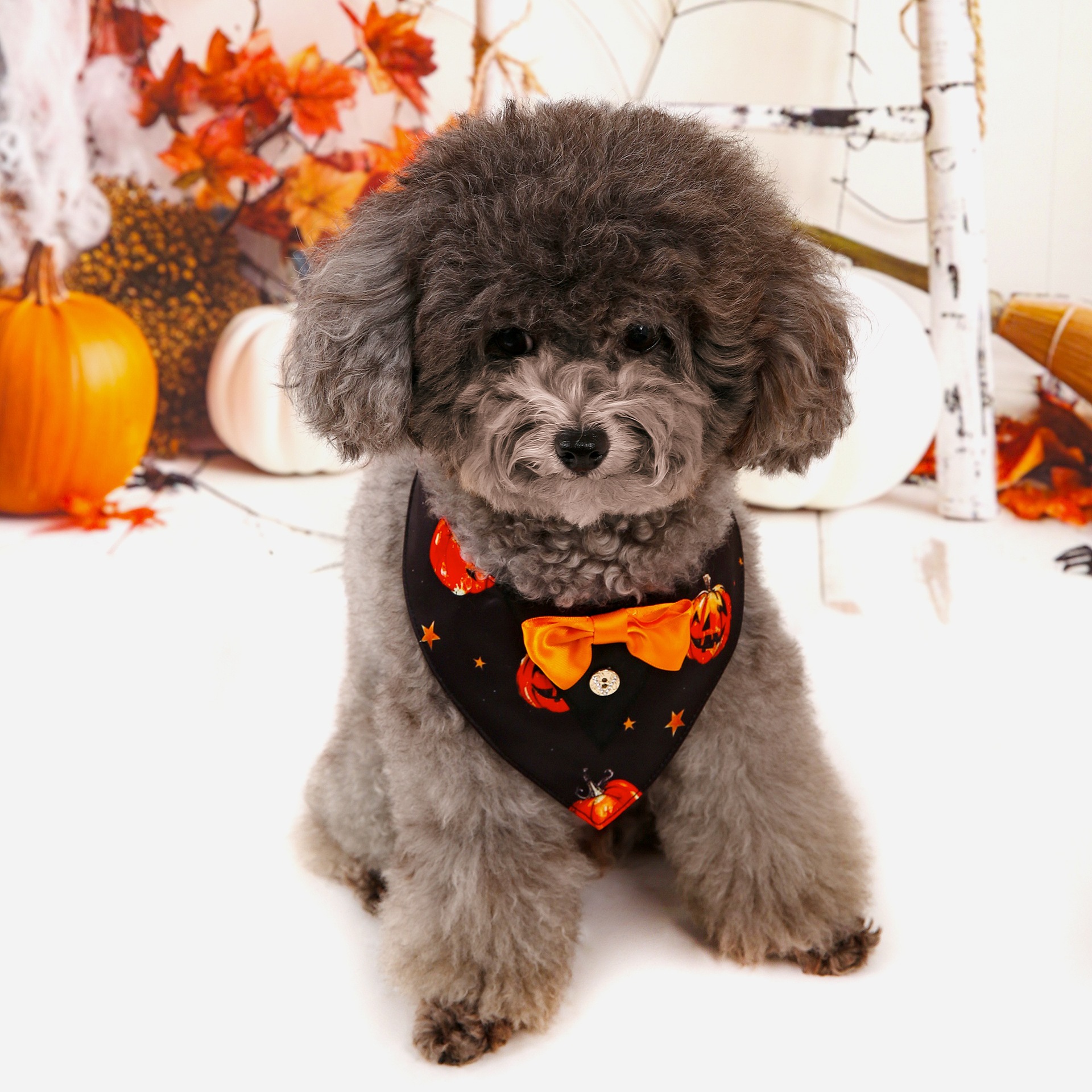 Halloween nuevo traje de mascotas toallas triangulares toallas de saliva collar de mascotas fábrica de ropa de perro en stock