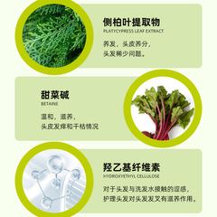 草本植物養發液生絲密發液工廠批發貼牌透皮護理側柏葉烏髮生育液