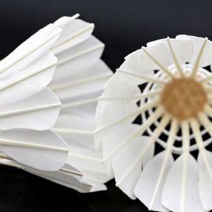 �S�����l��ë��ë�� �ʹ򷀶� Ӗ����ِ����12ֻ�b