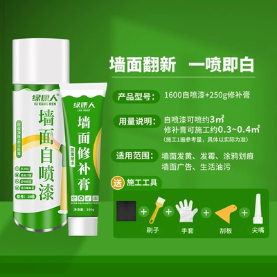Sheet Metal Spray Repair: Coating Repair Paste White Wall - self-painting-1600-repair-paste-250g-wall-repair-package