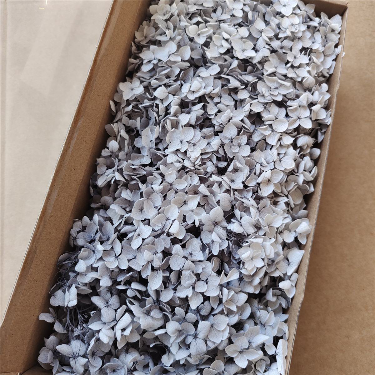 Flor eterna Hortensia Anna pequeña hoja flor seca flor real árbol de Navidad ventilador hecho a mano ramo DIY material paquete flor